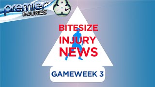 FPL injury roundup gameweek 3