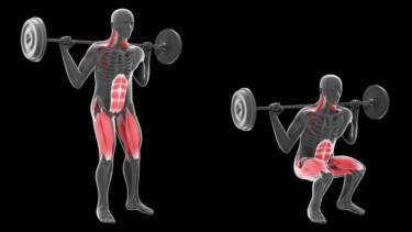 strength training barbell parallel squat