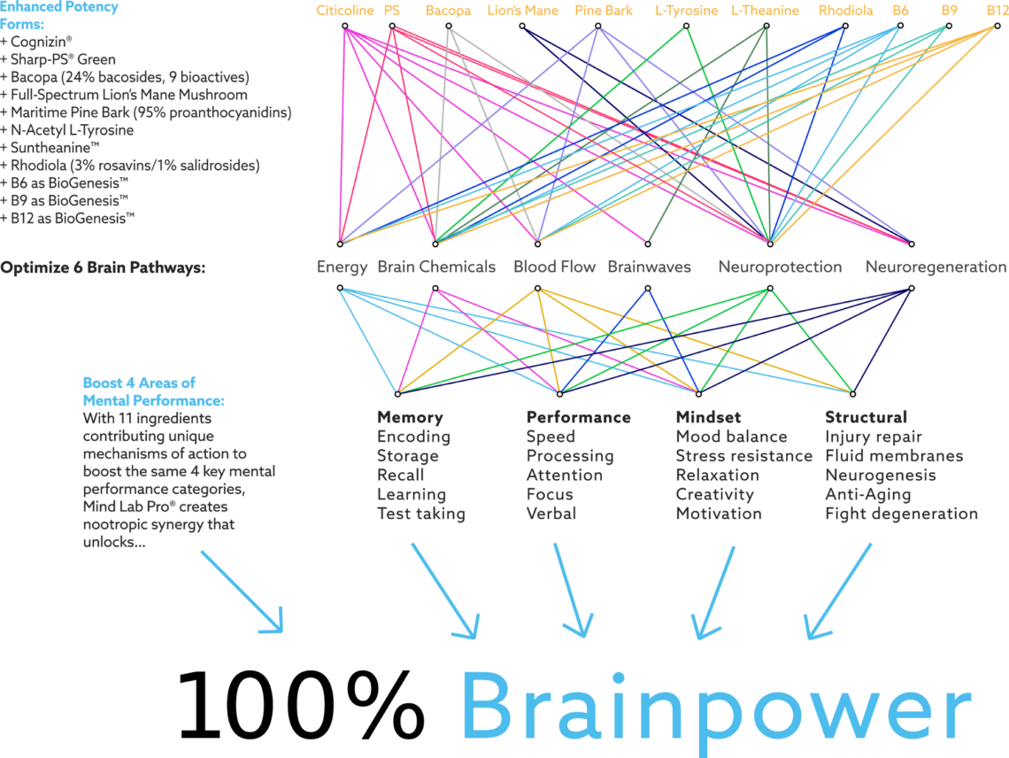 mind lab pro brain pathways chart