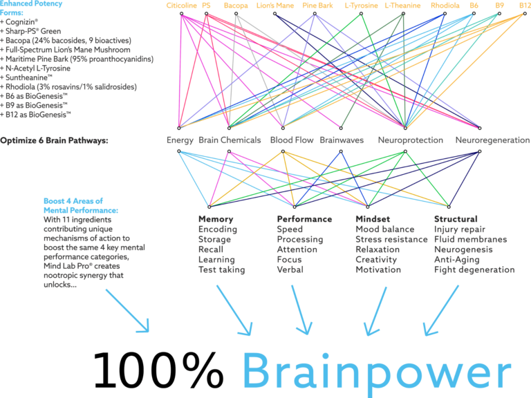 mind lab pro brain pathways chart