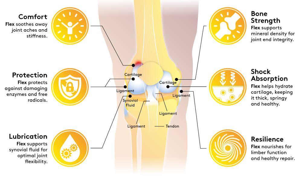performance lab flex knee joint benefits